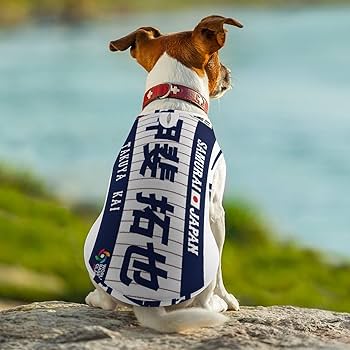 日本犬 Amazon | 侍ジャパン 番號10 甲斐 拓也 野球応援 犬服 Tシャツ